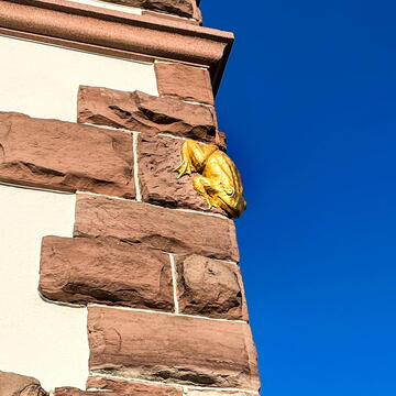 Galerie Bohn: Restaurationen Villa Froschegg, Zustand Frosch nach Vergoldung