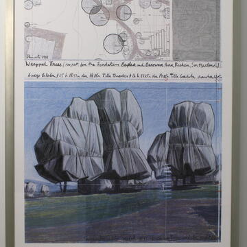 Christo: Wrapped Trees