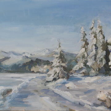 Rahel Schmid: Winter Moments - Feldberg