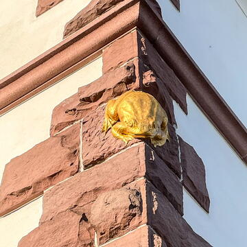 Galerie Bohn: Restaurationen Villa Froschegg, Zustand Frosch nach Vergoldung